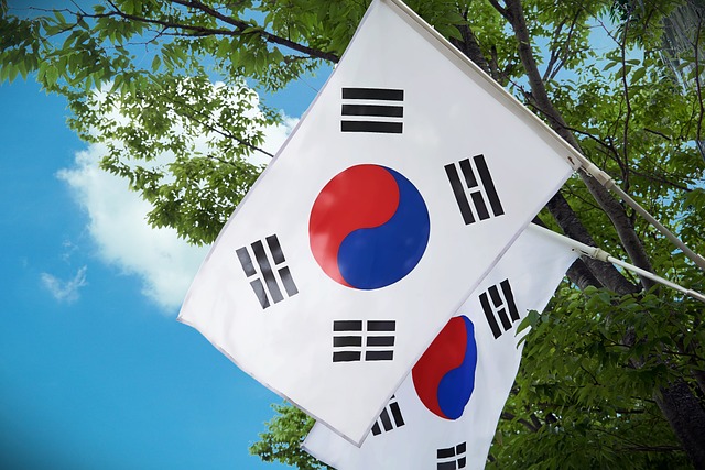 Koreaanse vlag