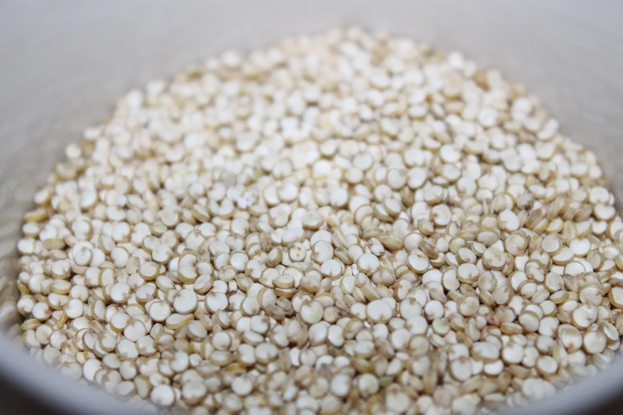 Quinoa koekjes