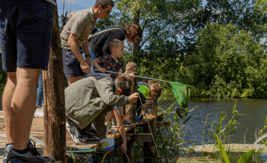 Aankondiging-Waterdag-De-Elzenhoek-in-Oss-scaled-aspect-ratio-800-500