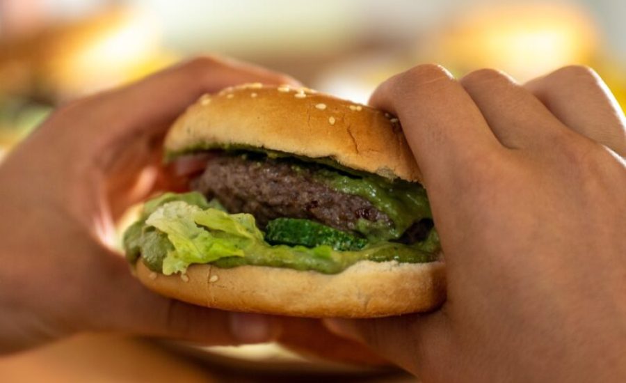 hamburger-6533719_1280-aspect-ratio-800-500