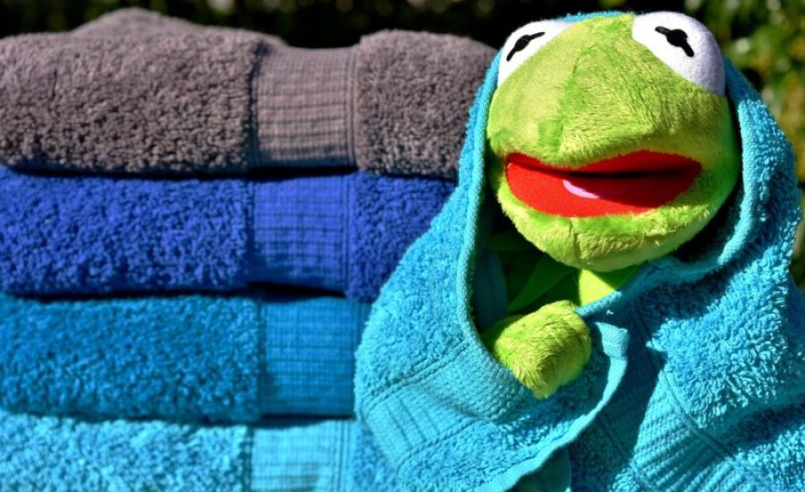 kermit-2822841_1280-aspect-ratio-800-500
