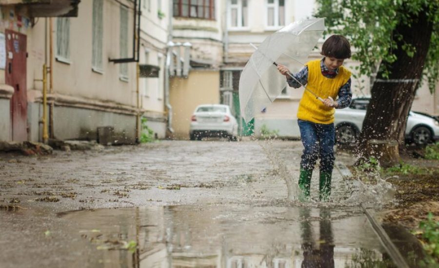 puddle-2863648_1280-aspect-ratio-800-500